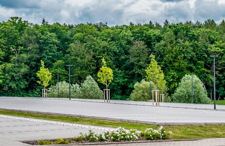 Parkplatz im Grünen mit Straßenlaternen